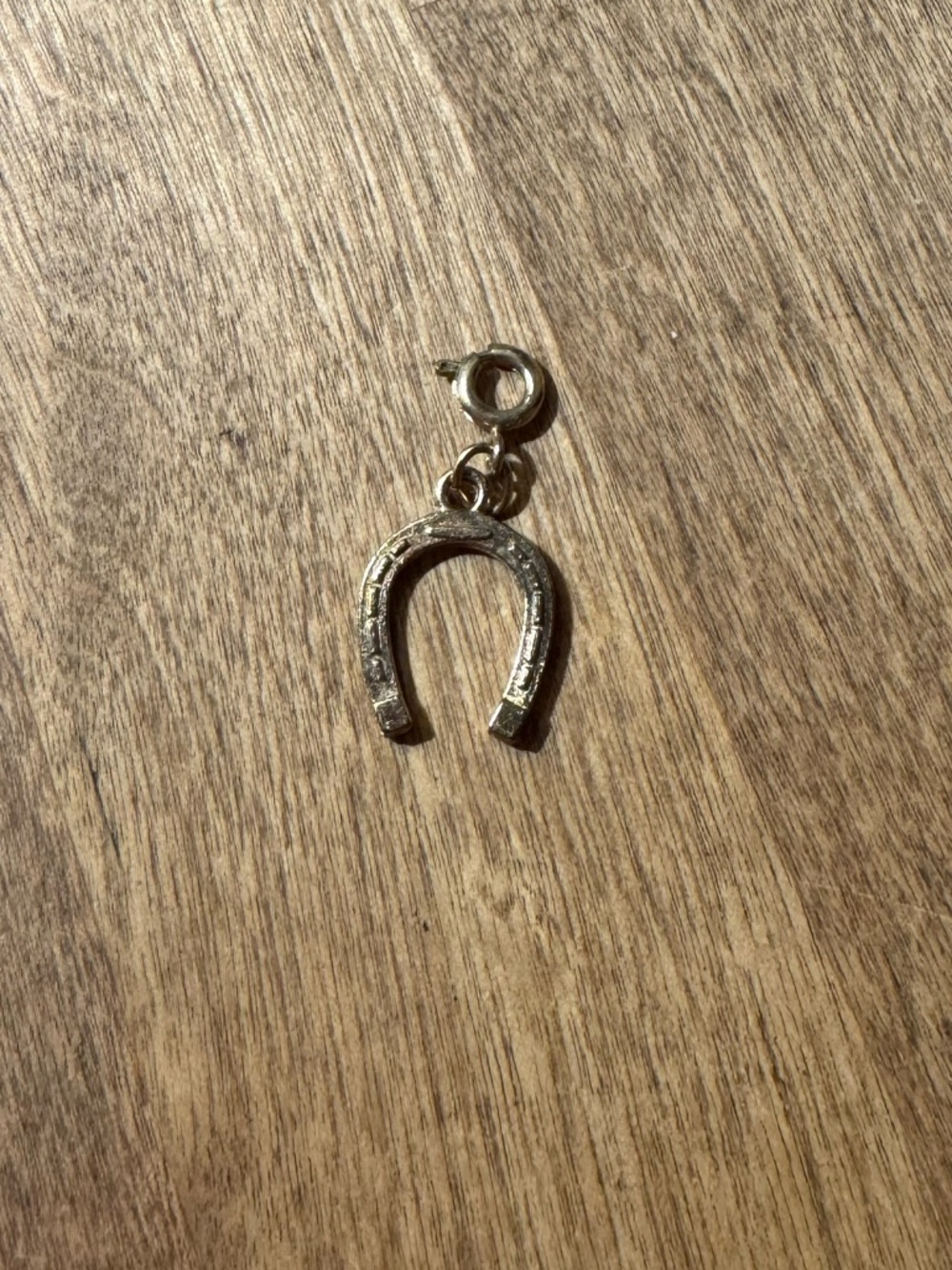 Horseshoe Charm Pendant in Metallic Gold - Picture 2 of 5